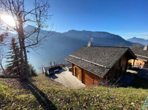 Chalet 3 chambres 8 pers avec cheminée et parking à 1000m des pistes - FR-1-572-49